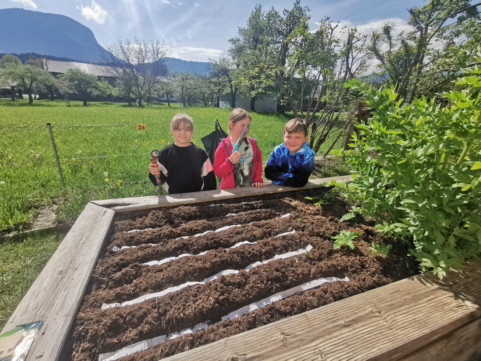 Auf der Blumenwiese hinterm Haus … – 3. Klasse – Voklsschule