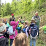 Aktion „Klimafitter Bergwald Tirol“