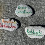 Teamwork im Schulgarten
