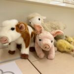 Tierschutzworkshop 3a