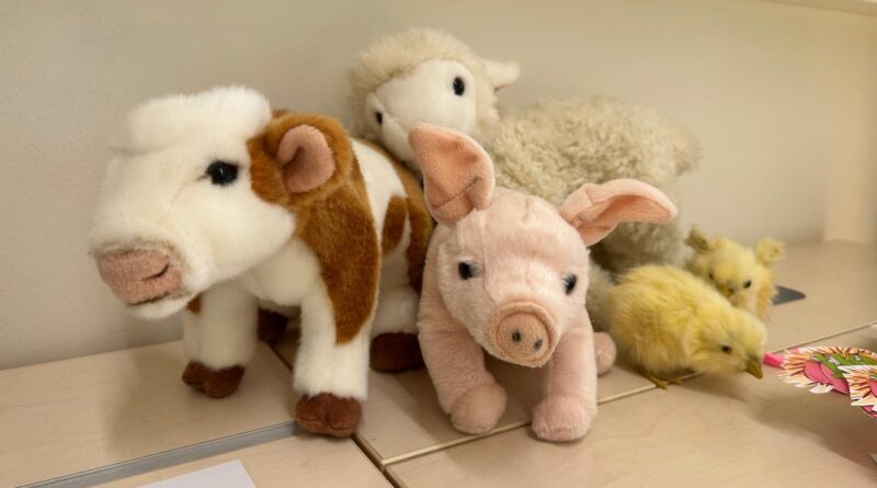 Tierschutzworkshop 3a