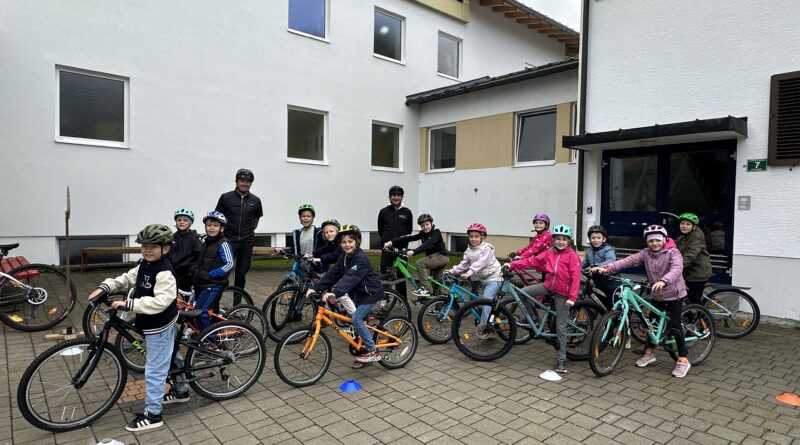 Easy Drivers- Radworkshop