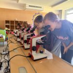 Mikroskopieren der 3. Klassen