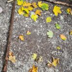 Unser 1.Waldtag