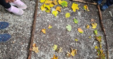 Unser 1.Waldtag