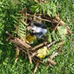Spielefest „Natur-Station“